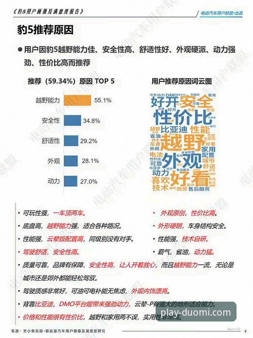 多米体育客服必备技能全面解析：从实战角度提升服务效率与用户满意度